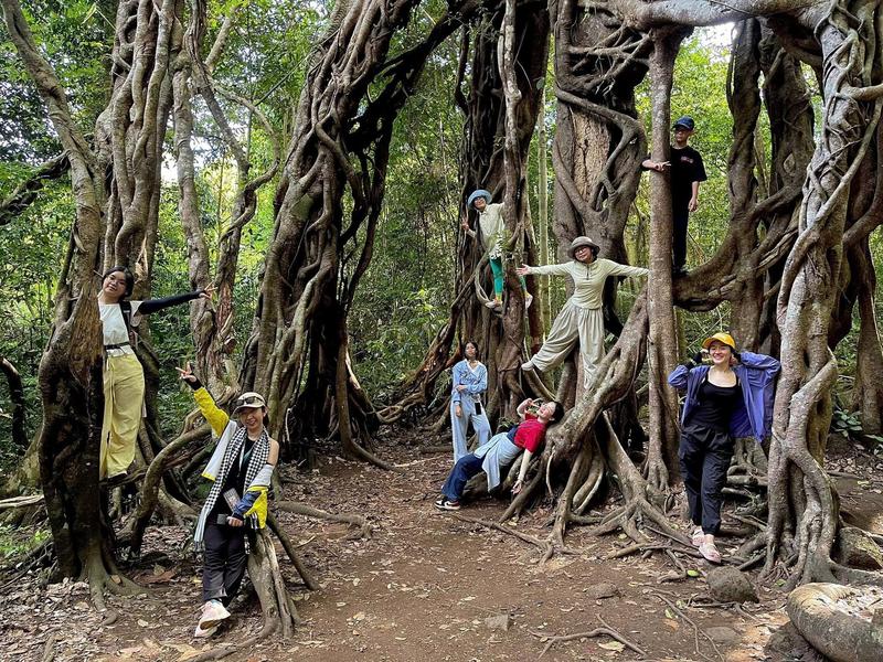 https://files.locallife.asia/images/800/1773713564418-1295740968142629955 (1).jpg